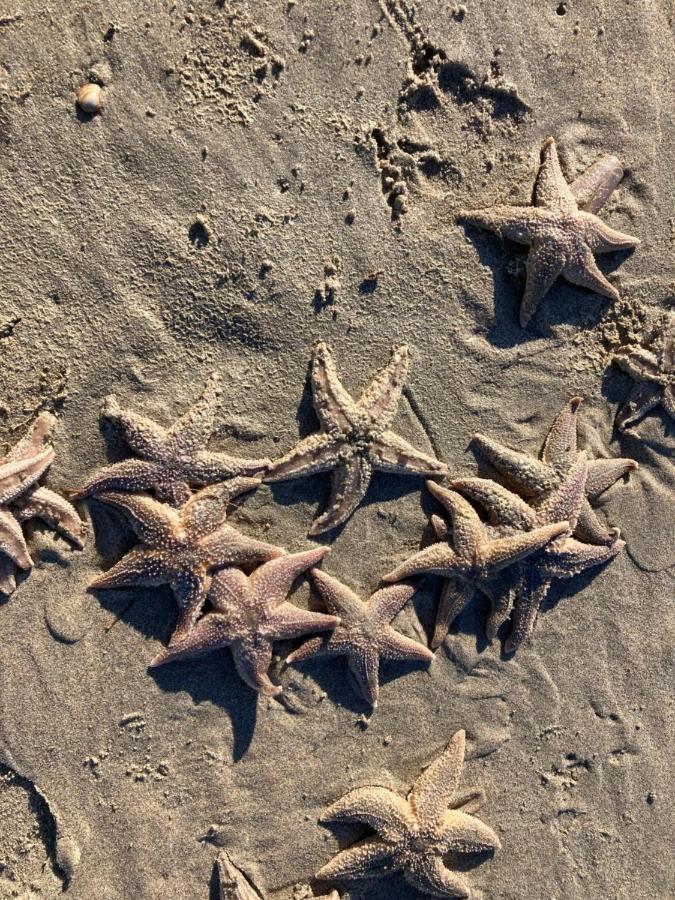 Apartmán Bij Frits Zandvoort Exteriér fotografie